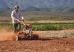 Motocultivador Stihl MH-710