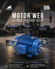 Motor Elétrico 3CV Trifásico Blindado Baixa Rotação Weg